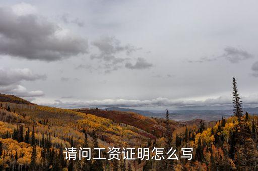 工資證明怎么寫半年，薪金證明范本