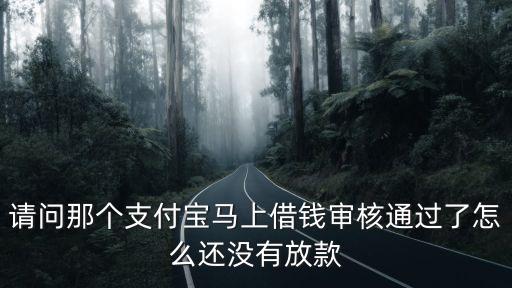馬上貸怎么還不放款，馬上金融申請貸款審核通過為什么等了兩天還不放款