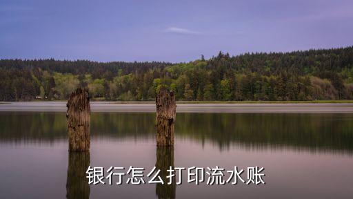 銀行怎么打印流水賬