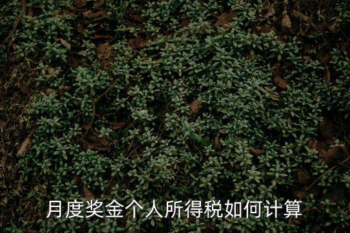 月度獎(jiǎng)金個(gè)人所得稅如何計(jì)算