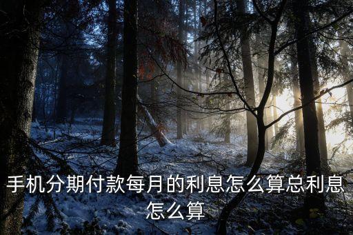 分期買手機(jī)3個(gè)月有利息怎么算，手機(jī)分期付 利息是怎么算的