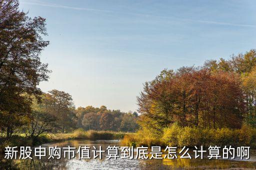 新股申購市值計算到底是怎么計算的啊
