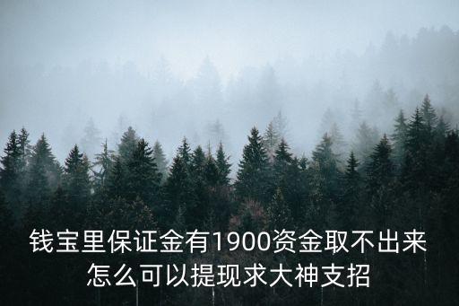 錢寶里保證金有1900資金取不出來怎么可以提現(xiàn)求大神支招