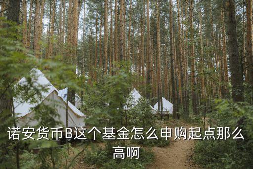 諾安貨幣怎么樣，諾安貨幣A 怎么樣啊