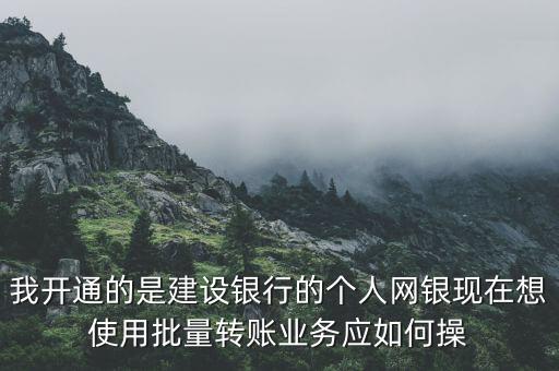 我開通的是建設銀行的個人網銀現(xiàn)在想使用批量轉賬業(yè)務應如何操
