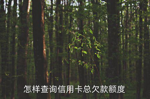 怎樣查詢信用卡總欠款額度