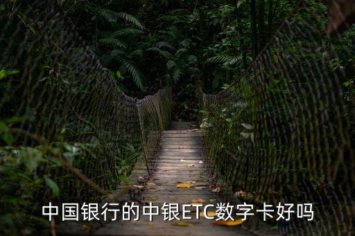 中國銀行的中銀ETC數(shù)字卡好嗎