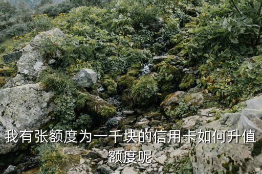 信用卡怎么升值額度，怎樣使信用卡增值最快的 速度能多增