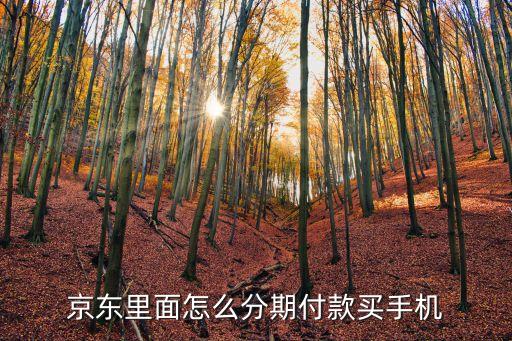 怎么在京東貸款買手機，剛注冊的京東想買手機可以分期付款嗎怎么操作