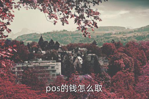 pos的錢怎么取