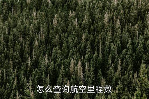 廣發(fā)國(guó)航怎么查里程，旅客怎么查自己的已經(jīng)飛過的航行里程沒有任何航空公司的會(huì)員卡