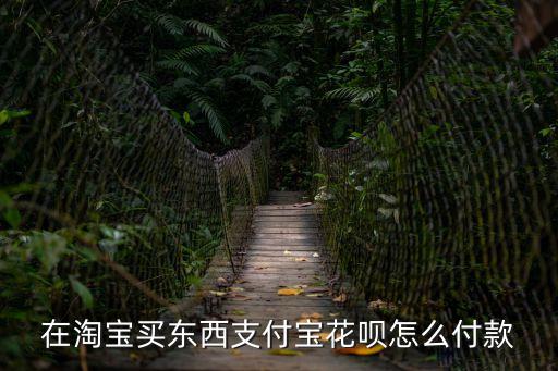 天貓上螞蟻花唄怎么用，天貓怎么使用花唄付款