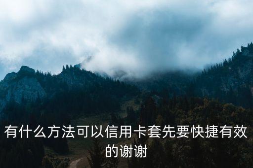 有什么方法可以信用卡套先要快捷有效的謝謝