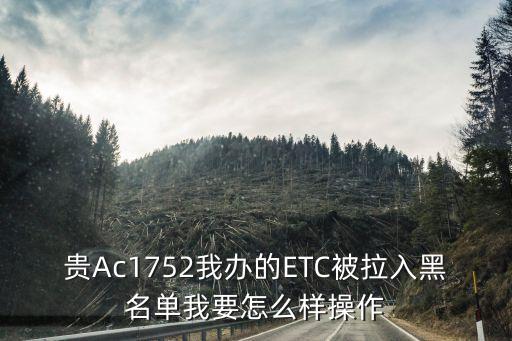 貴Ac1752我辦的ETC被拉入黑名單我要怎么樣操作
