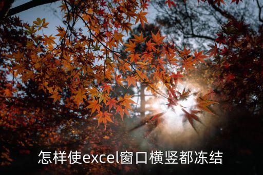 怎樣使excel窗口橫豎都凍結(jié)