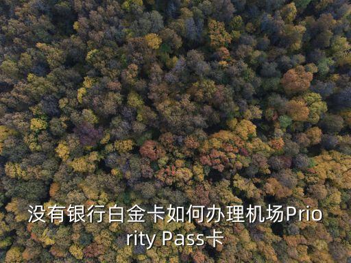 機(jī)場(chǎng)鉆石卡怎么辦，鉆石卡客戶在機(jī)場(chǎng)有什么樣的鉆石服務(wù)