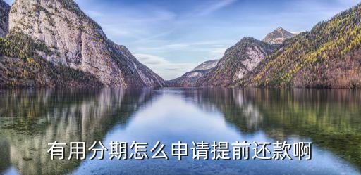 有用分期怎么申請(qǐng)?zhí)崆斑€款啊