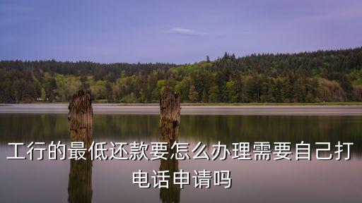 工行最低還款額怎么弄，工行信用卡如何設(shè)置最低還款額