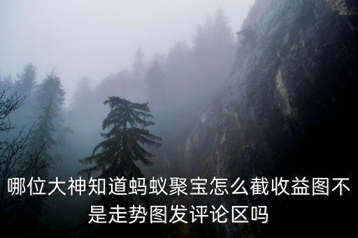 哪位大神知道螞蟻聚寶怎么截收益圖不是走勢(shì)圖發(fā)評(píng)論區(qū)嗎