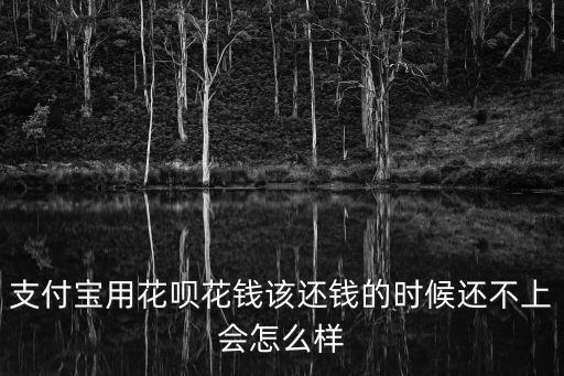 支付寶用花唄花錢該還錢的時(shí)候還不上會(huì)怎么樣