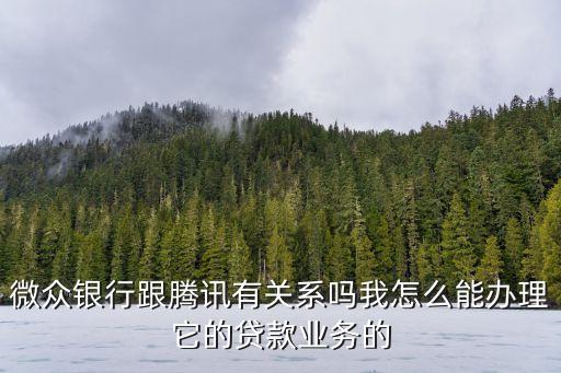 微眾銀行 怎么投資，在微眾銀行進(jìn)行投資收益怎么樣呀還有就是到底安全不安全有沒