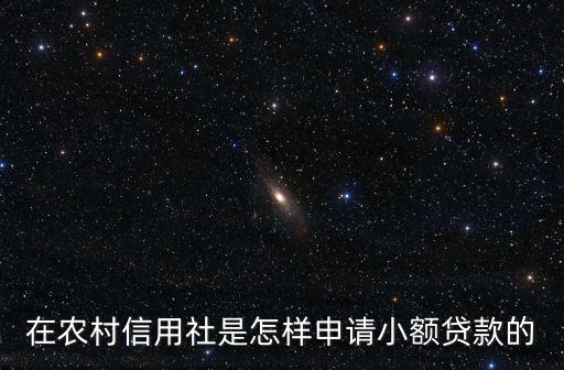 在農(nóng)村信用社是怎樣申請(qǐng)小額貸款的