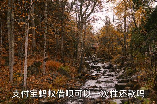 支付寶螞蟻借唄可以一次性還款嗎