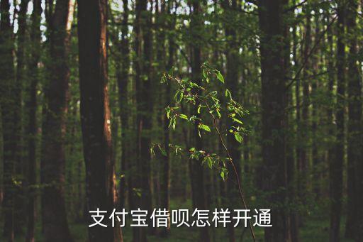 支付寶借唄怎樣開通