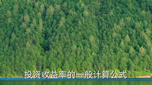 投資收益率的一般計算公式
