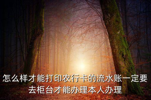 怎么樣才能打印農(nóng)行卡的流水賬一定要去柜臺才能辦理本人辦理