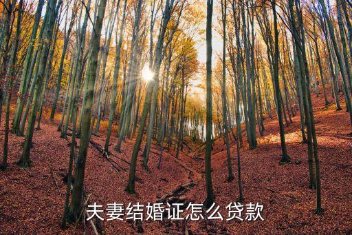夫妻結(jié)婚證怎么貸款