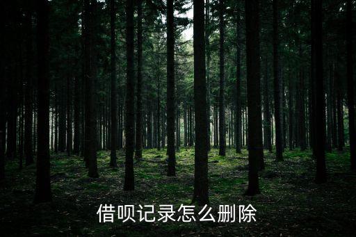 借唄記錄怎么刪除