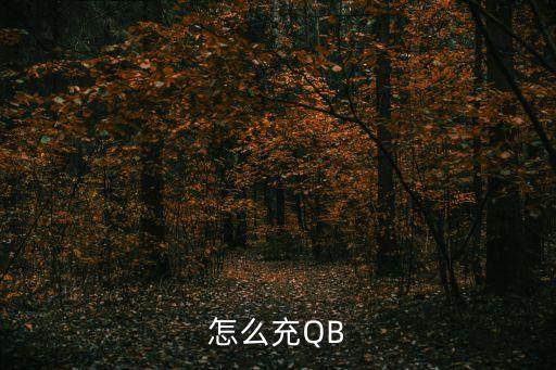 零錢罐怎么充值，怎么充值啊 可以教教我嗎