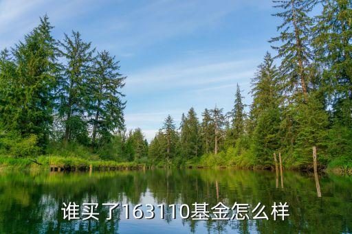 誰買了163110基金怎么樣