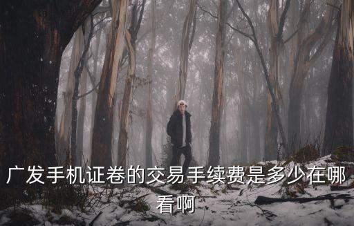 廣發(fā)手機(jī)證卷的交易手續(xù)費(fèi)是多少在哪看啊