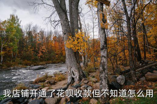 賣家怎么使用花唄收款，我店鋪開通了花唄收款但不知道怎么用