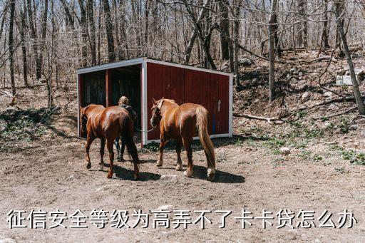 怎么申請(qǐng)卡卡貸，拉卡拉貸款怎么申請(qǐng)