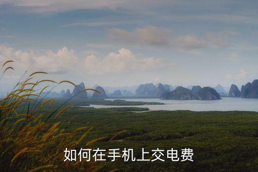生活中怎么交電費(fèi)，怎么交電費(fèi)