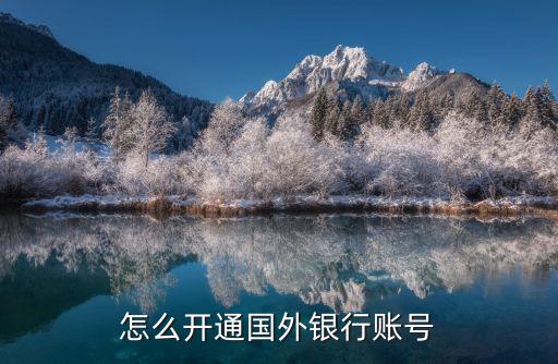 怎么注冊國際銀行帳號，怎么開通國外銀行賬號