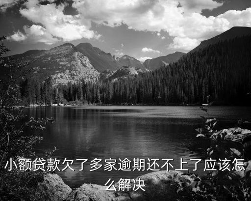 小額貸款欠了多家逾期還不上了應(yīng)該怎么解決