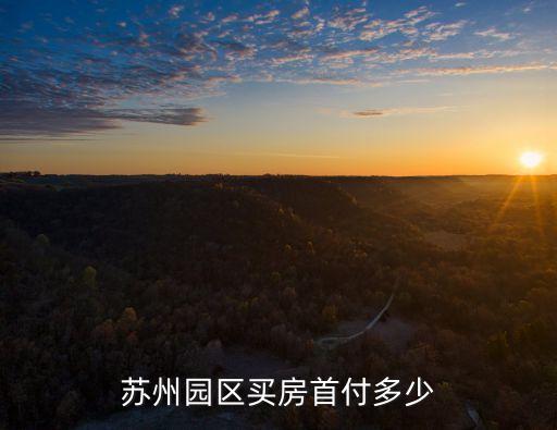 蘇州園區(qū)買房首付多少