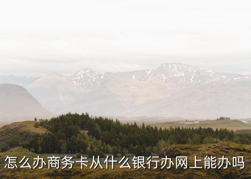怎么辦理商務(wù)卡，怎么辦商務(wù)卡從什么銀行辦網(wǎng)上能辦嗎
