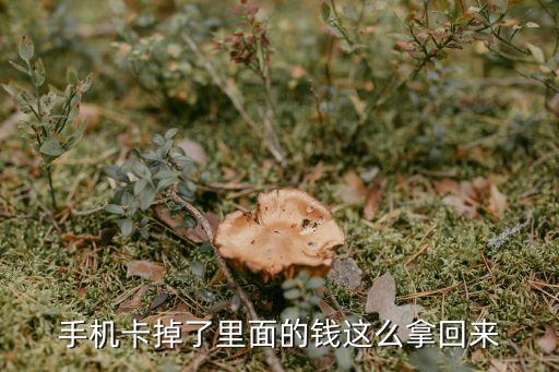 手機卡掉了里面的錢這么拿回來