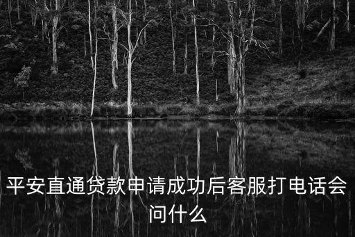 平安直通貸款申請成功后客服打電話會問什么