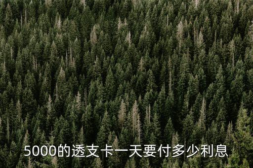 5000的透支卡一天要付多少利息