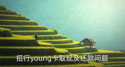 young卡取現(xiàn)怎么看賬單，天翼預(yù)付費(fèi)飛young19元套餐怎么查賬單