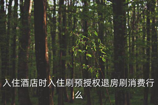 預(yù)授權(quán)怎么轉(zhuǎn)消費(fèi)，開賓館信用卡預(yù)授權(quán)成功了多余的錢沒(méi)轉(zhuǎn)進(jìn)信用卡多久可以轉(zhuǎn)進(jìn)