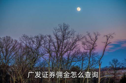 廣發(fā)傭金怎么查詢，怎么查自己廣發(fā)華福證券帳戶的傭金是多少