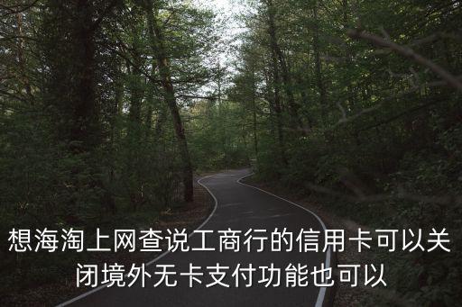 想海淘上網(wǎng)查說工商行的信用卡可以關(guān)閉境外無卡支付功能也可以