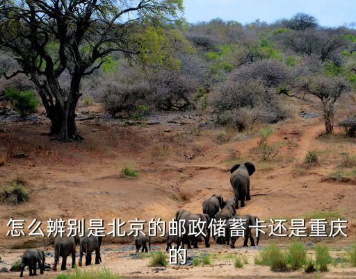 郵政卡怎么區(qū)分地區(qū)，怎么辨別是北京的郵政儲(chǔ)蓄卡還是重慶的